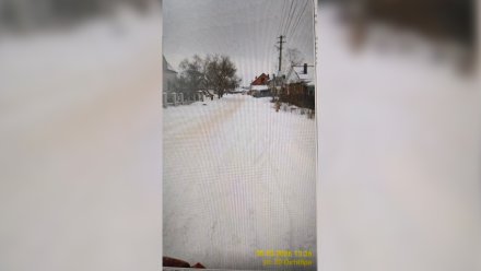 «Экотехнологии» прокомментировали завалы мусора в частном секторе в Воронеже