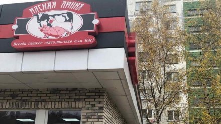 Громкий холодильник в мясной лавке лишил воронежцев сна