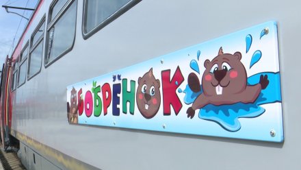 В Воронеже назначили дополнительные поезда «Бобрёнок» в новогодние праздники