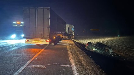 Ребёнок и двое взрослых пострадали в ДТП с грузовиком на трассе под Воронежем