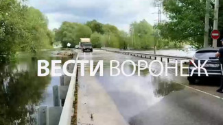 Автомобили начали проезжать по затопленному мосту у воронежского села Ступино