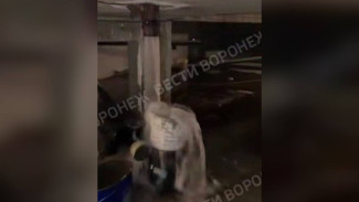 Жители воронежской 9-этажки пожаловались на регулярные потопы