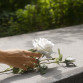 Мать погибшего на СВО воронежца подала в суд на вдову сына после вступления в наследство