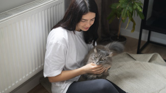 Батареи стали горячими в 92% жилых домов в Воронеже