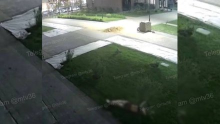 Тело девушки-подростка нашли возле дома на Загоровского в Воронеже
