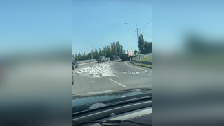 В Воронеже оживлённую дорогу засыпало кирпичами
