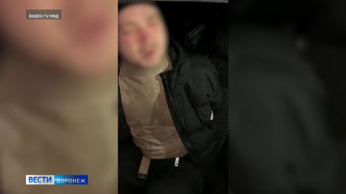 В варанаре паймон нашла рисунок