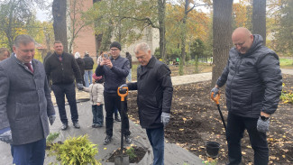 «Единая Россия» заложила в Воронеже Аллею отцов