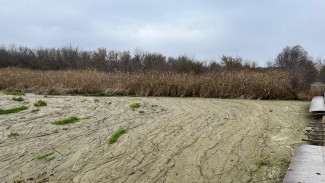 Экологи объяснили загрязнение реки в Воронежской области