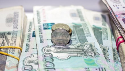 Зампредседателя воронежского колхоза ответит в суде за мошенничество с 2,8 млн