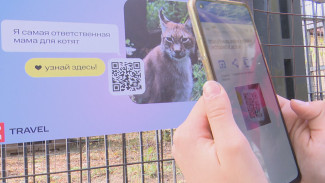 В Воронежском зоопарке запустили цифровой гид для самостоятельных экскурсий