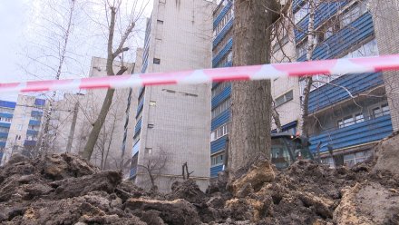В Воронеже начали подготовку к ремонту дворов