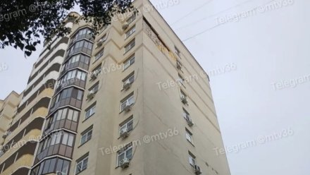 Воронежский застройщик за свой счёт отремонтирует фасад 9-этажки на Туполева