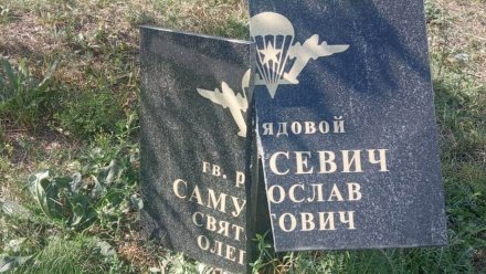 В Воронеже неизвестные разгромили памятные таблички с именами героев-десантников