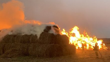 Более 220 тонн соломы сгорело при пожаре в воронежском селе