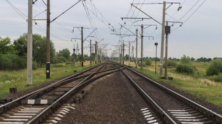 Общественник предложил воронежцам объезжать закрытый виадук на электричке