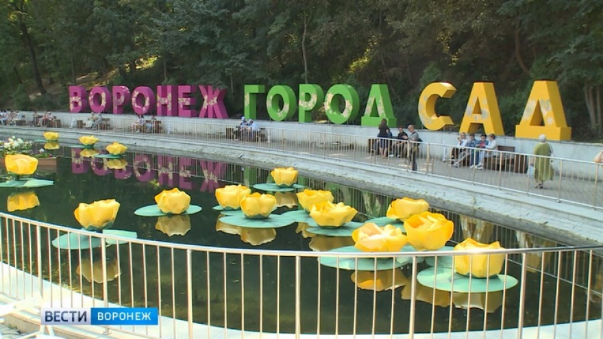 Девятый воронежский фестиваль «Город-сад» стал рекордным по посещаемости