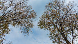 Воронежские синоптики спрогнозировали стремительное похолодание до +7