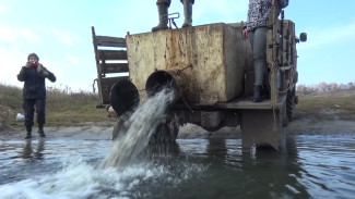 В воронежскую реку Битюг выпустили более 350 тыс. мальков сазана