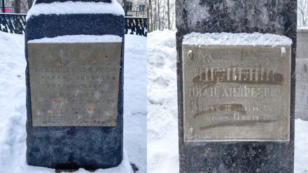Воронежцы раскритиковали состояние захоронений в парке «‎Орлёнок»‎