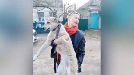 Избитую хозяйкой собаку в Воронеже забрали у семьи волонтёры