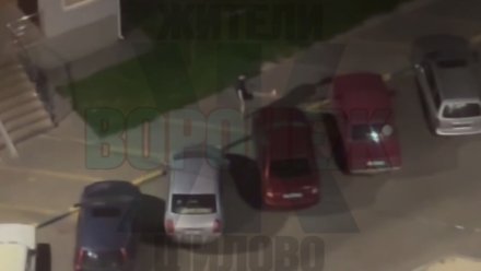 Воронежец разбил машины на парковке в Шилово