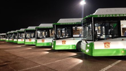 Большие низкопольные автобусы выйдут на улицы Воронежа 1 декабря