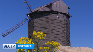 В погоне за ускользающим летом на юг Воронежской области