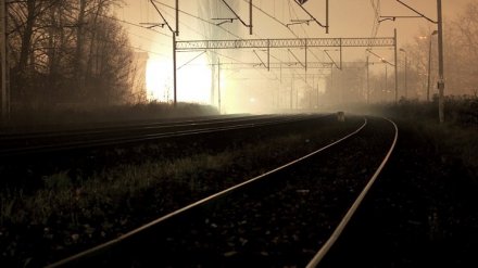 Под Воронежем поезд насмерть сбил бывшего сотрудника РЖД