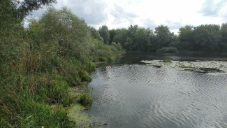 В Воронеже цвет воды в скандально известном озере Круглое стал сине-зелёным