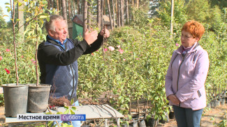 Воронежцам рассказали, как правильно сажать осенью плодовые деревья