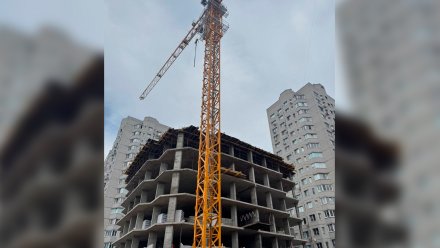 В Воронеже приостановили работу аварийного башенного крана на стройплощадке