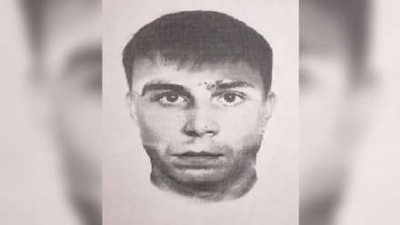 В Воронеже поймали опасного рецидивиста, напавшего на женщину в парке