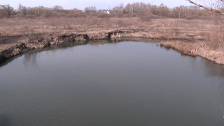 Расчистку воронежской реки Тавровки начнут весной 2021 года