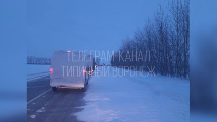 Пробка длиной в 30 километров сковала трассу под Воронежем