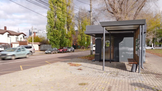 Жители улицы Пирогова в Воронеже забили тревогу из-за нехватки автобусов