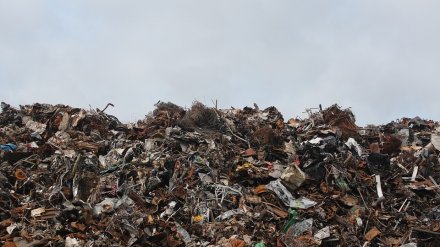 В Воронежской области за 5 лет построят 16 мусоросортировочных комплексов