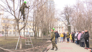 Кто такие арбористы и почему их не хватает в Воронеже?