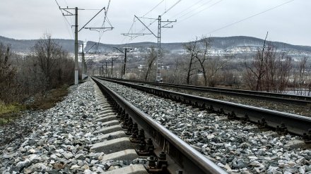 В Воронежской области запустят экскурсионный железнодорожный маршрут