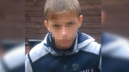 Полиция попросила помощи в поисках пропавшего в Воронежской области школьника