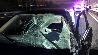 Под Воронежем пьяный водитель на BMW насмерть сбил пешехода