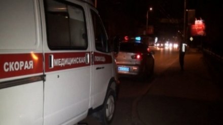 В Воронежской области 32-летний водитель разбился, врезавшись на «Газели» в фуру