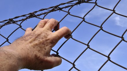 В Воронежской области поймали сбежавшего из колонии рецидивиста