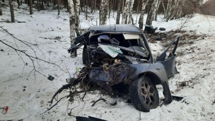 Водитель выжил после страшного столкновения иномарки с деревом в Воронежской области