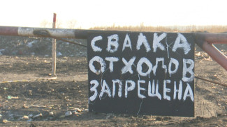 Знаменитую свалку в воронежском райцентре уберут только к 2023 году