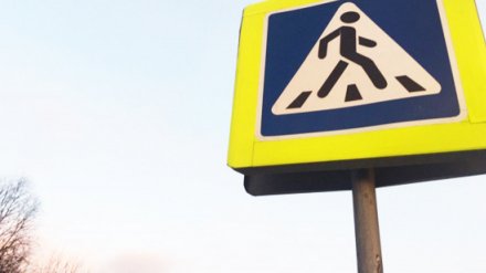 В Воронежской области иномарка на пешеходном переходе сбила женщину