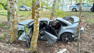 На воронежской трассе погибла пассажирка вылетевшего в кювет Volvo