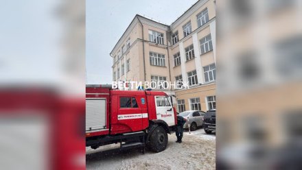 «Побежал в самое пекло». Физрук спас детей при пожаре в школе №16 в центре Воронежа