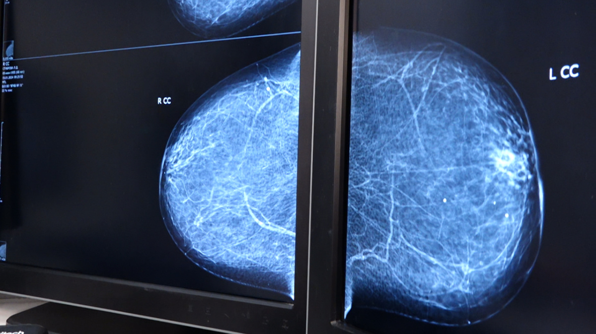 воронеж совхоз масловский 1 отделение. воронеж совхоз масловский 1 отделение. 1 отделение масловский воронеж. совхоз масловский 1 отделение воронежская область. совхоз масловский воронежская.