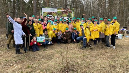 Волонтёры Сбера посадили 15 тыс. саженцев в Донском лесхозе Липецкой области